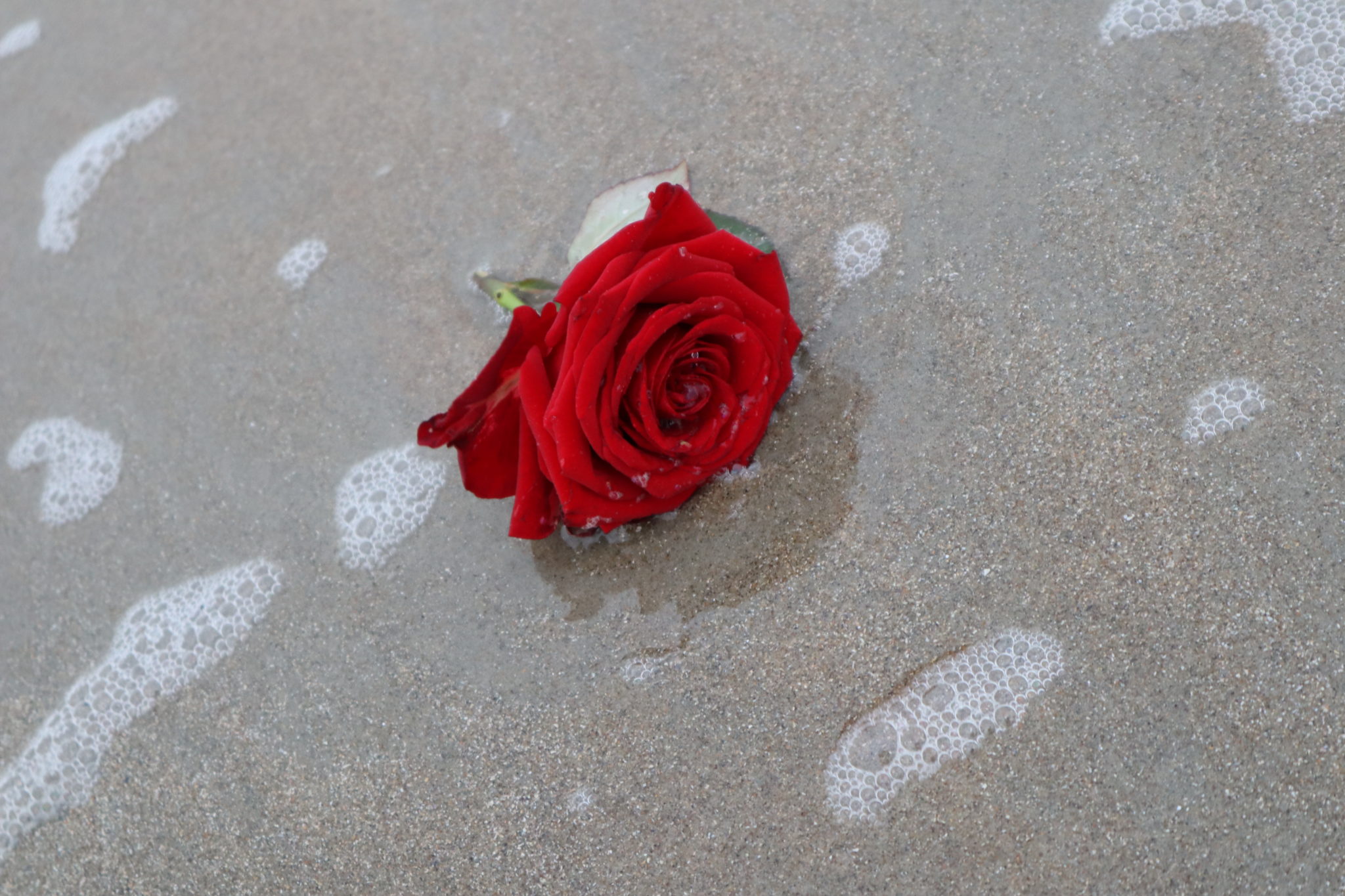 Door de pijn heen ⋆ Watmariekebeweegt.nl